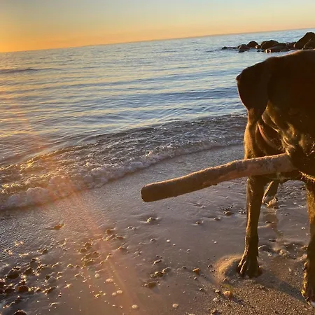 Dom wakacyjny Ostseeferienpark Walkyrien - Lotse 03