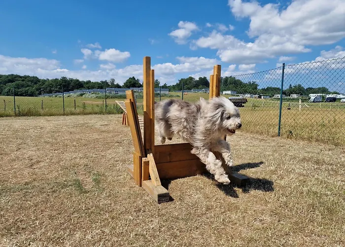 Casa vacanze Ostseeferienpark Walkyrien - Lotse 03 *